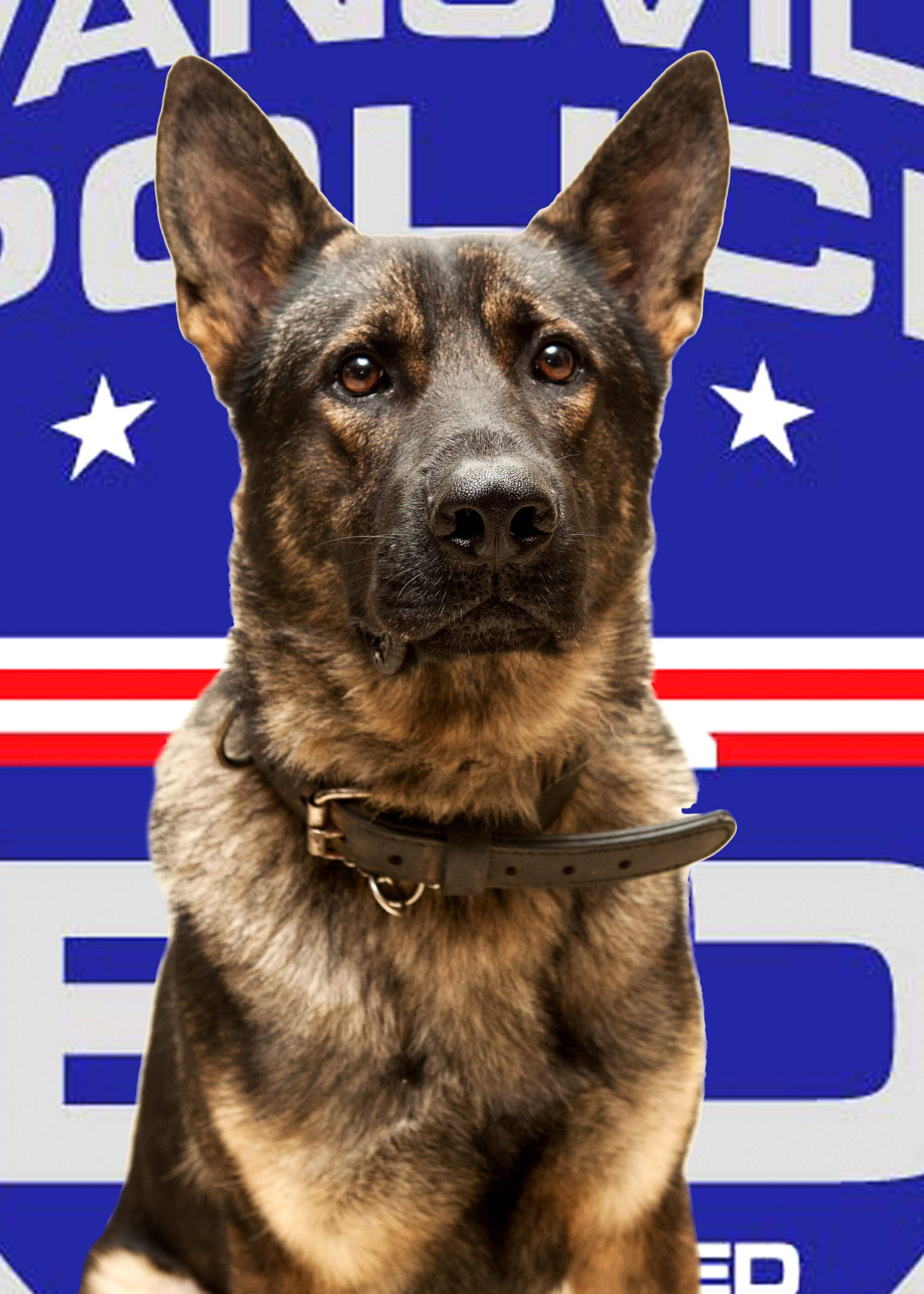 K-9 Doc sits in front of police banner