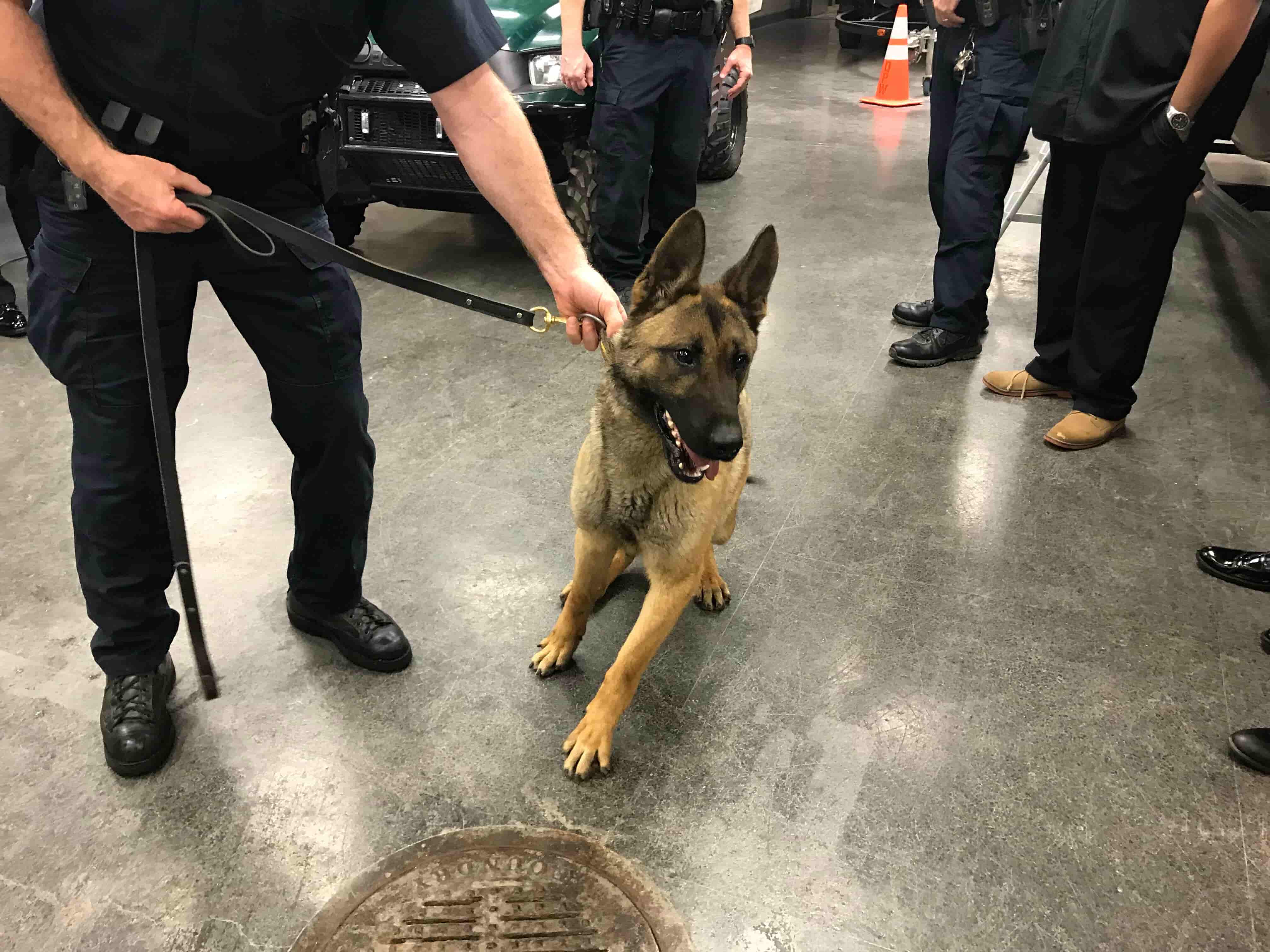 K-9 Sonitrol at Indianapolis police department