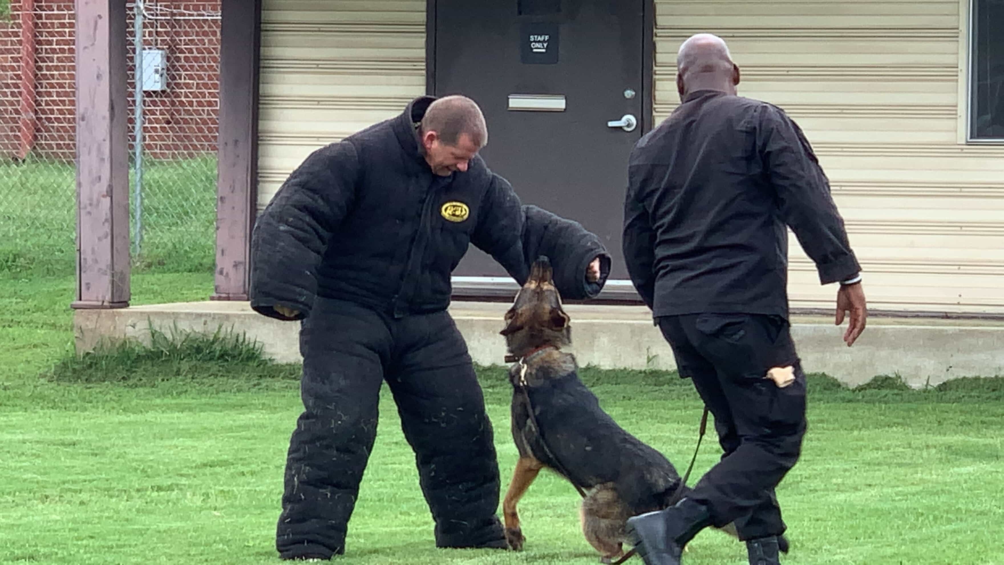 K-9 Sonitrol interacts with Memphis police officers