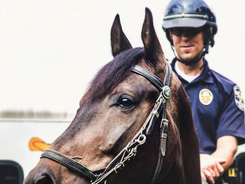Mounted Patrol policeman rides Sonitrol horse