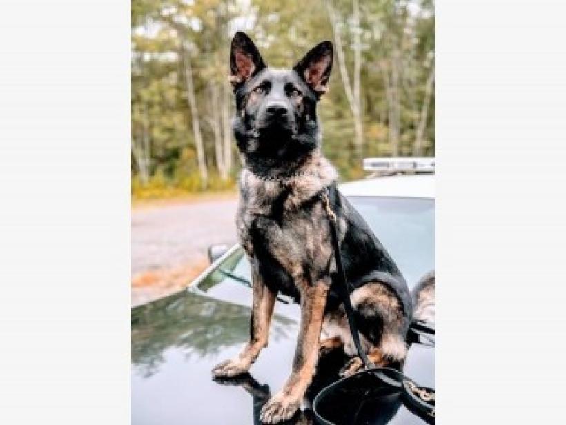 SONITROL NEW ENGLAND DONATING BODY ARMOR TO POLICE K-9