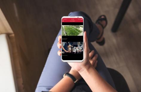 Person holding smart phone with security camera view application in view.